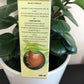 Anti Acne Carimo Lotion