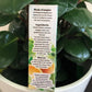 Carimo Anti-dark circles Serum